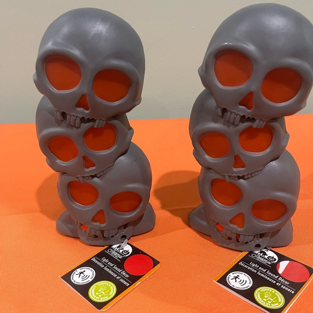 6/$25 Gray Skull lights